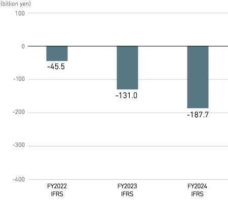Investment Cash Flow