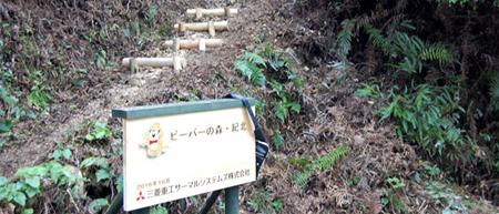 Activities in creating forests for the future