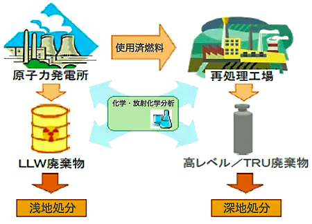 化学・放射化学分析の活用