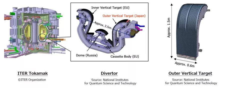ITER Tokamak, Divertor, Outer Vertical Target